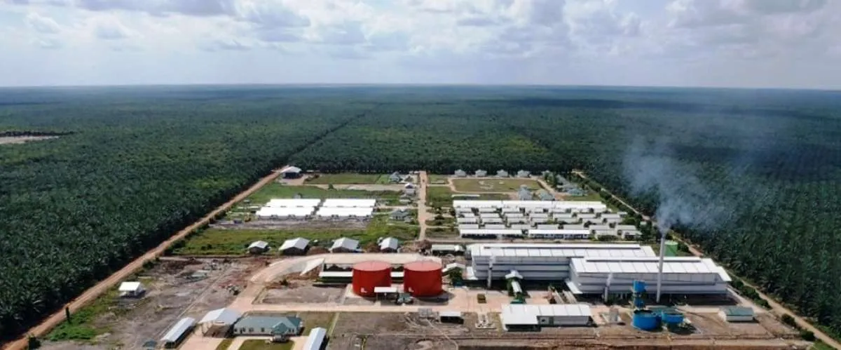 Kinerja Grup Triputra Ciamik per Semester I-2025, Simak Rekomendasi Sahamnya