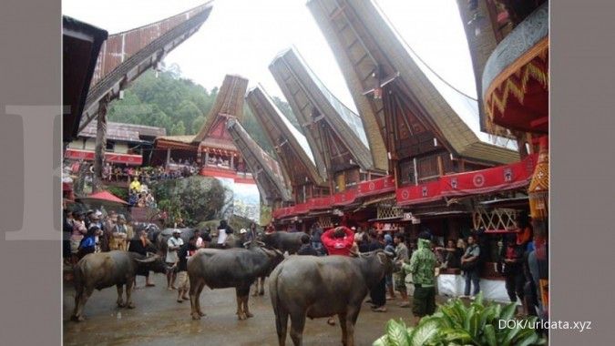 Paket liburan seru liburan akhir tahun di Toraja
