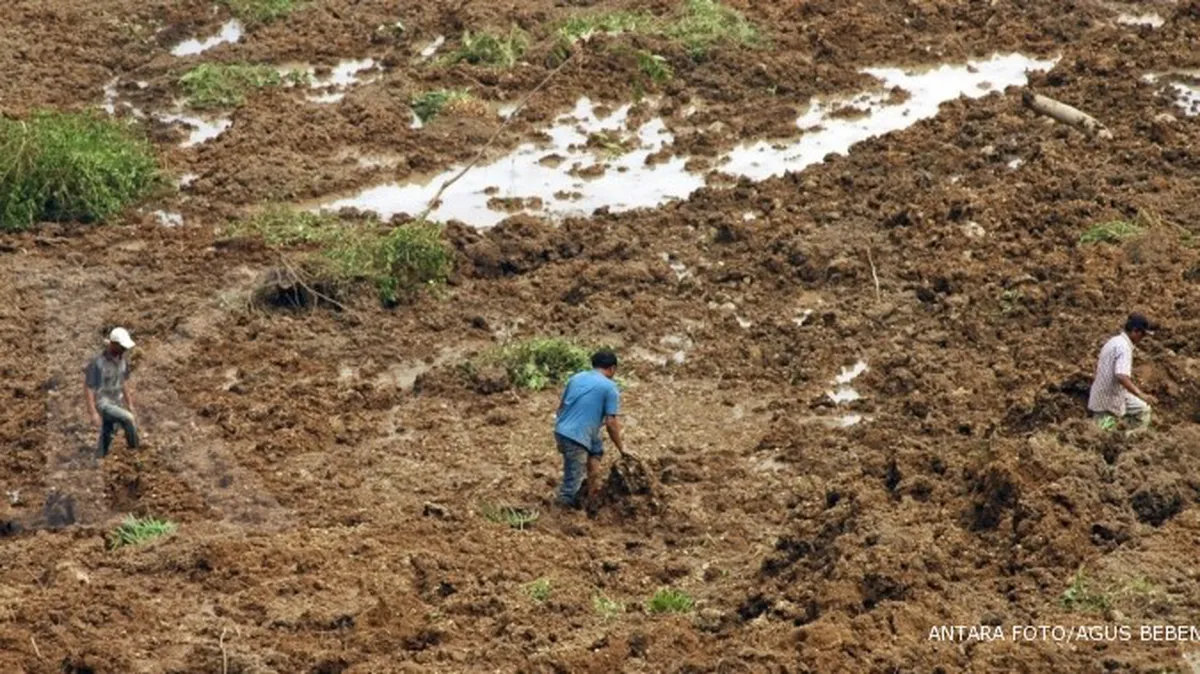 Desa diharapkan membentuk Badan Usaha Milik Desa