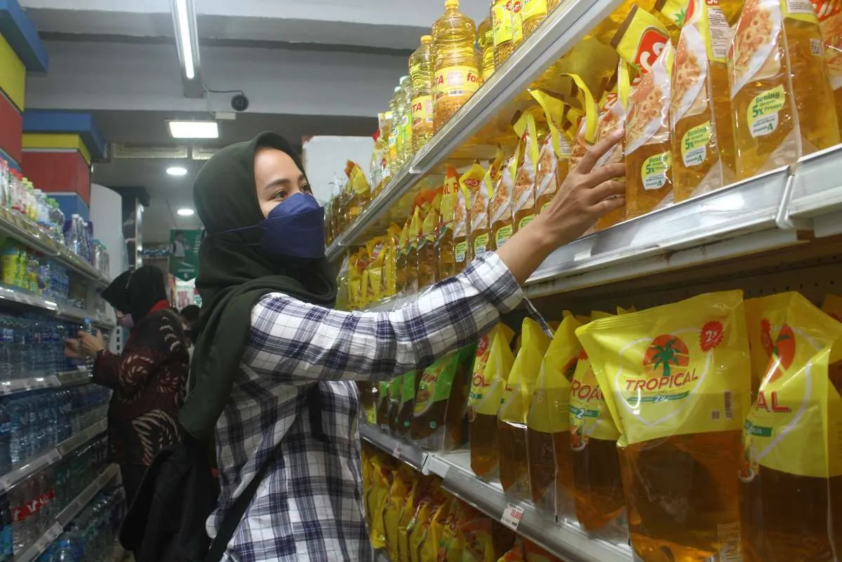 Harga Minyak Goreng, Apkasindo: Indonesia Penghasil CPO terbesar, Jangan Jadi Lelucon