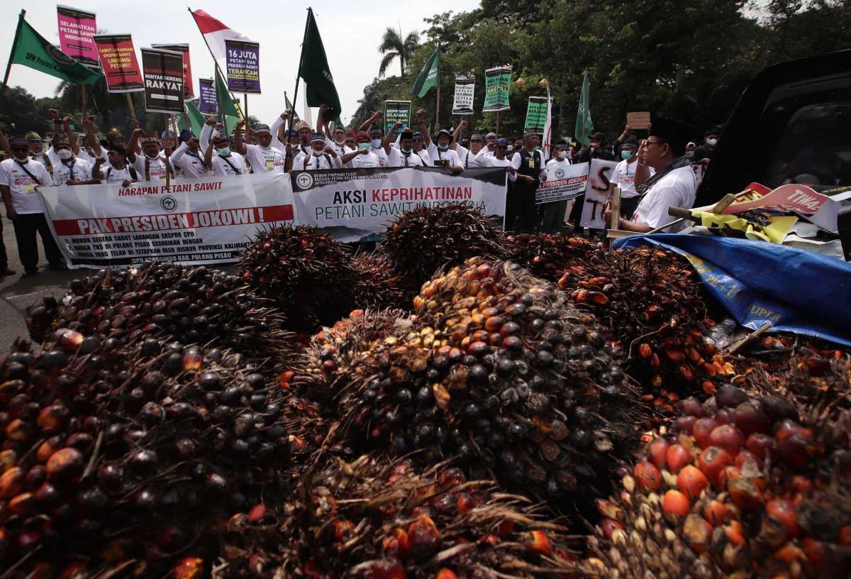 Indonesia Policy Uncertainty Hampers Resumption of Palm Oil Exports