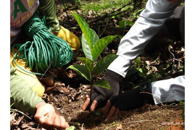 Kontan - Bukit Asam Kilas Online