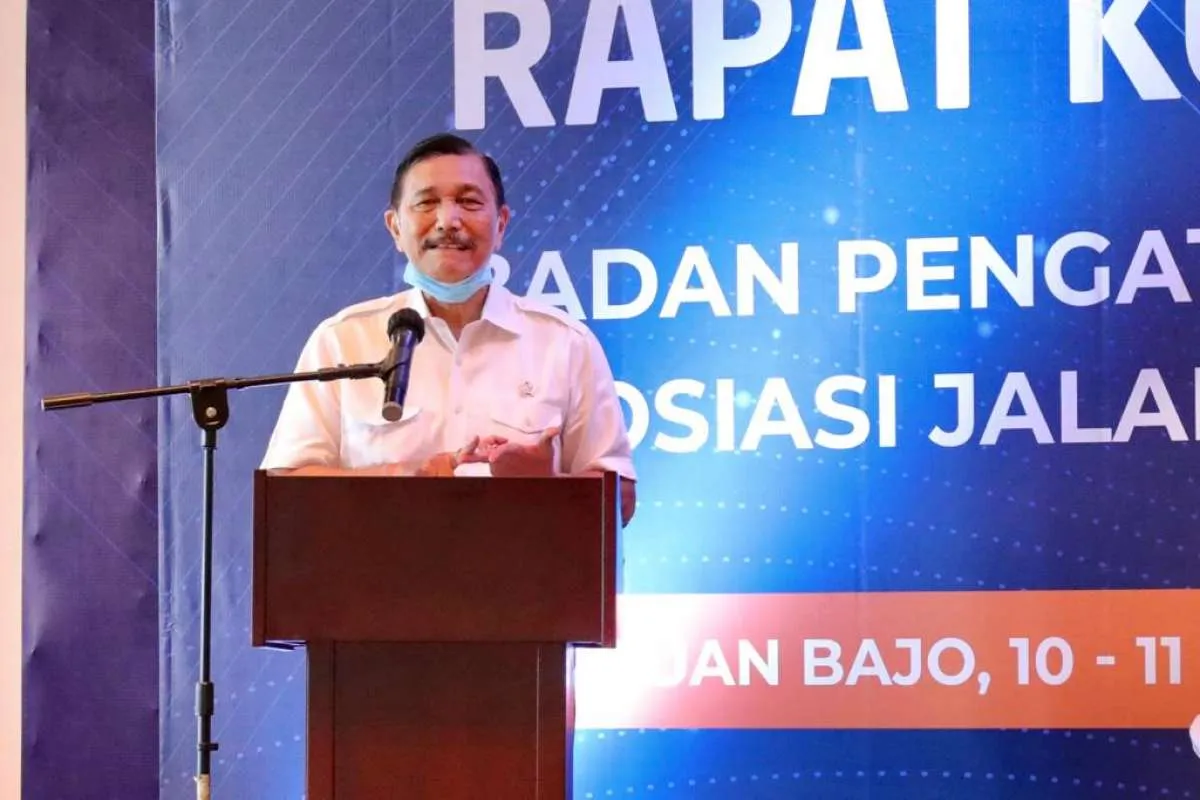 Luhut minta Kemenkes segera sosialisasikan protokol standar perawatan pasien Covid-19
