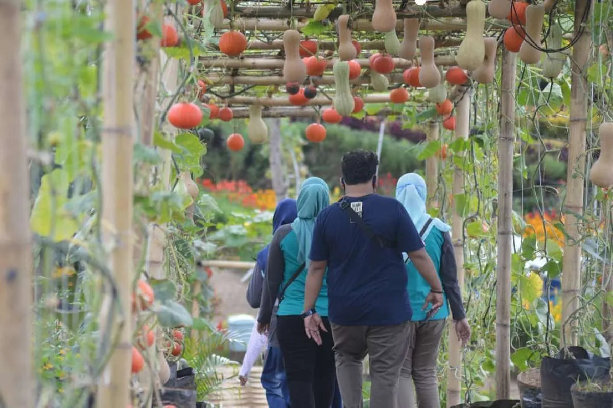 Agro Wisata Tamansuruh, destinasi wisata pertanian yang lagi hits di Banyuwangi