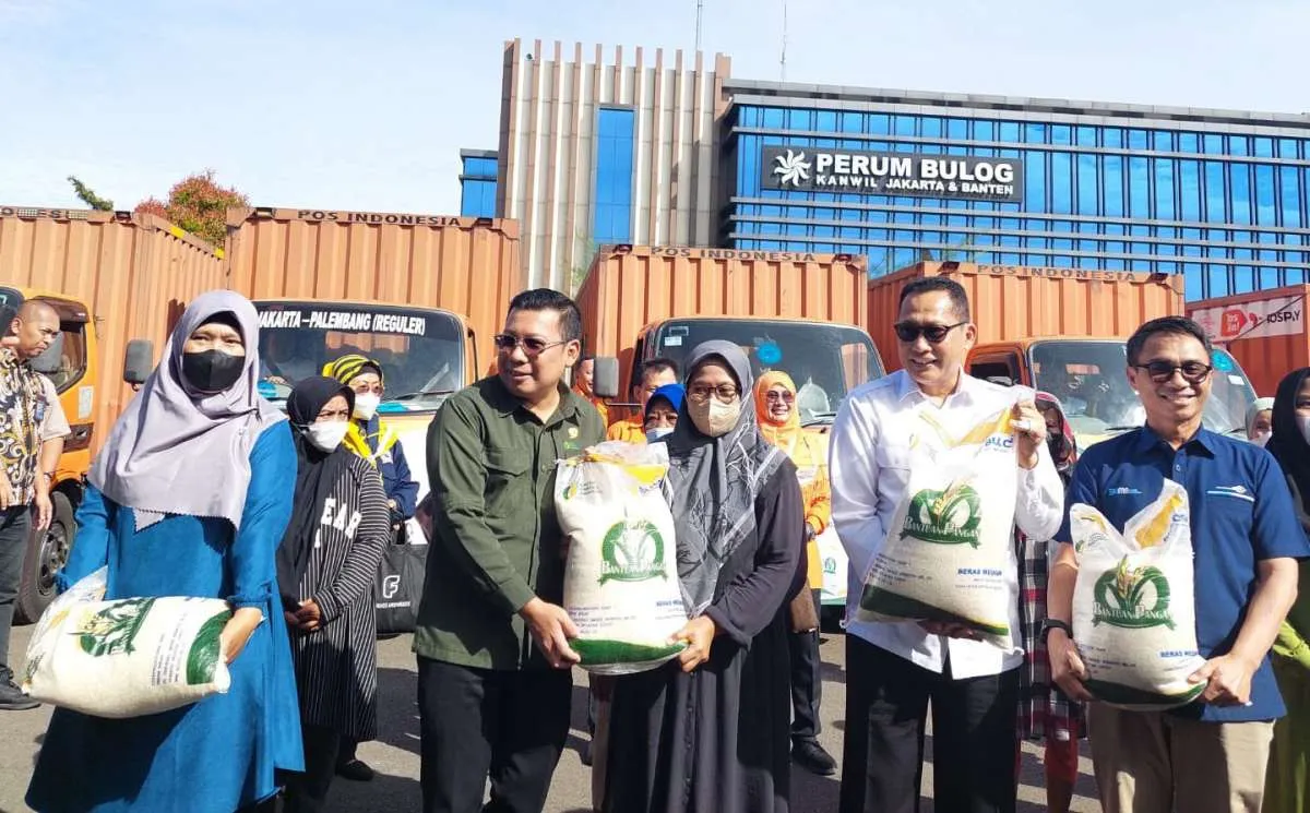 Badan Pangan Nasional: Penyaluran Bansos Beras di 10 Provinsi Telah Rampung
