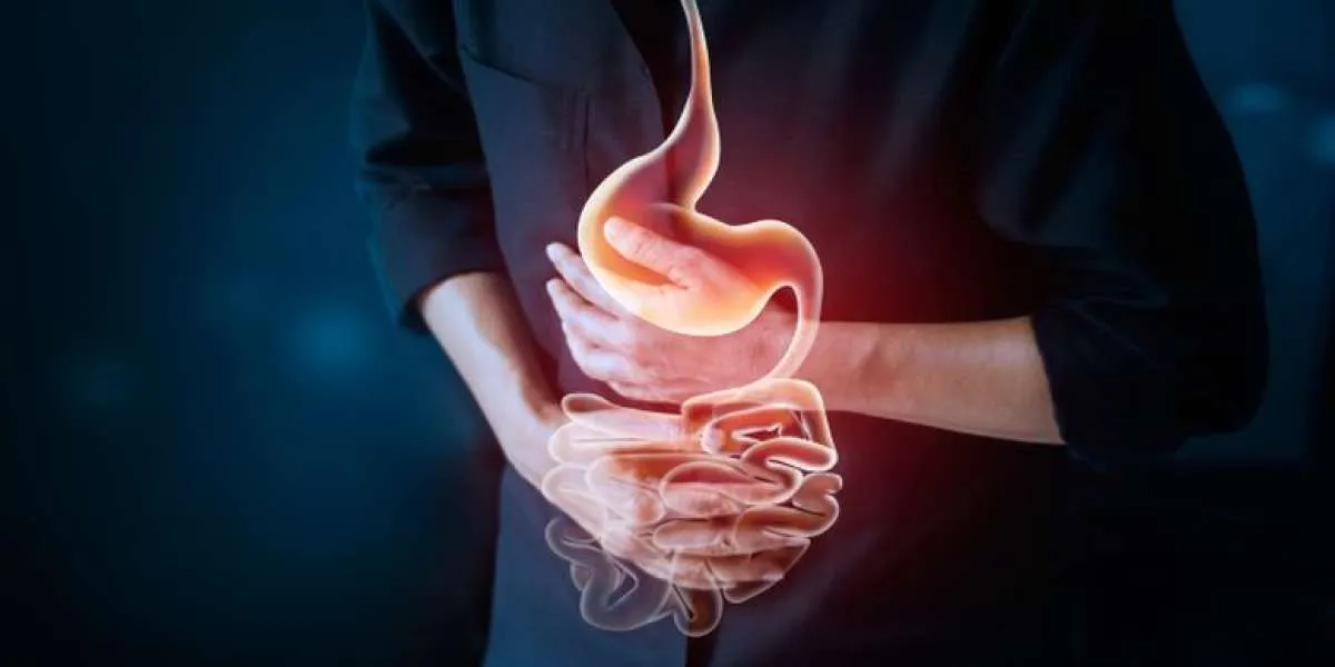 Perlu Edukasi Terus Menerus, Pola Makan dan Gaya Hidup Berdampak Pada Kesehatan Usus