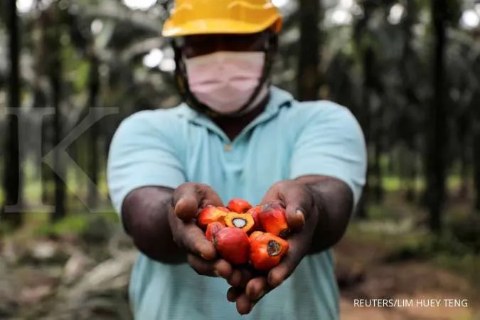 Malaysia Palm Oil Stocks Hit Nearly 2-Year Low in Feb as Output Drops