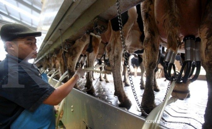 Indonesia impor 3,65 juta ton susu per tahun