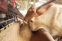 WMPP Bukukan Laba dan Pertumbuhan Aset Pada Kuartal III 2022