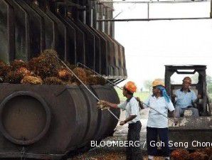 Harga CPO jatuh ke level terendah dalam setahun