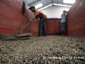 PTPN VIII Kembangkan Produksi Teh putih