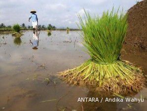 Tiga tahun terakhir, konversi lahan pertanian di Jawa capai 600.000 hektare