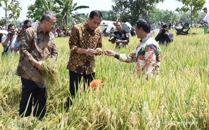 Jokowi: Pemerintah sebetulnya tidak suka yang namanya impor beras