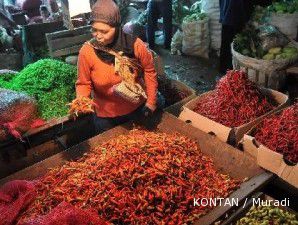 Masuk musim panen, harga cabai mulai turun