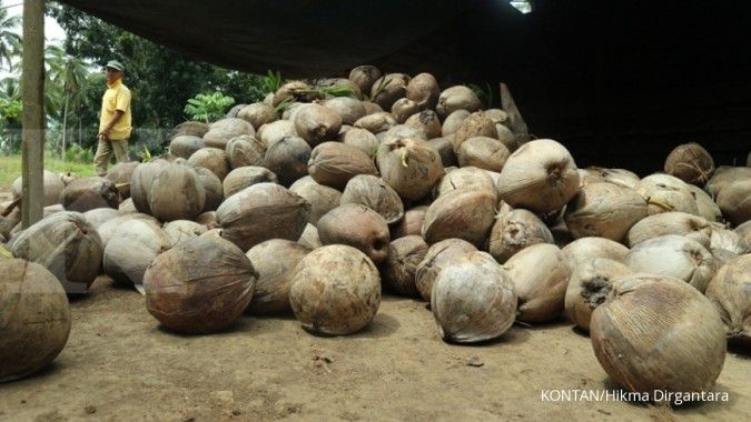 Secercah harapan di sentra perkebunan kelapa di Minahasa Selatan (bagian 2)