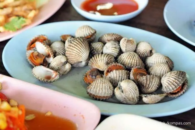 Kerang dara