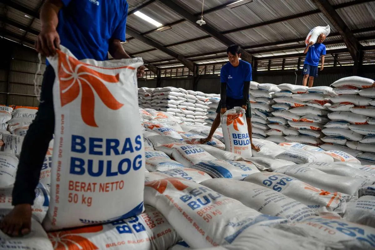 Bulog Belum Realisasikan Akuisisi Beras dari Kamboja, Ini Sebabnya