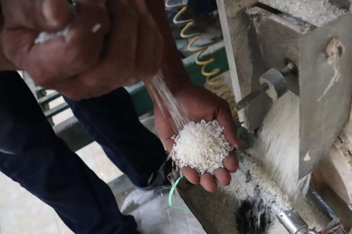 Bantuan Pangan Beras Mulai Disalurkan Secara Bertahap 