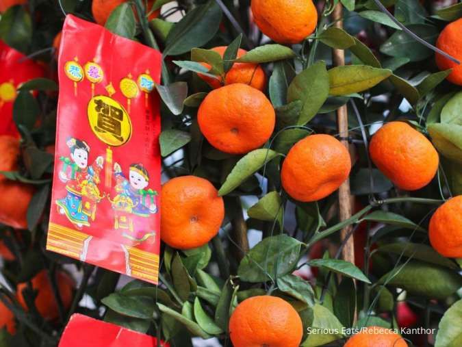 Kenali 10 Manfaat Jeruk Mandarin Untuk Kesehatan yang Jarang Diketahui