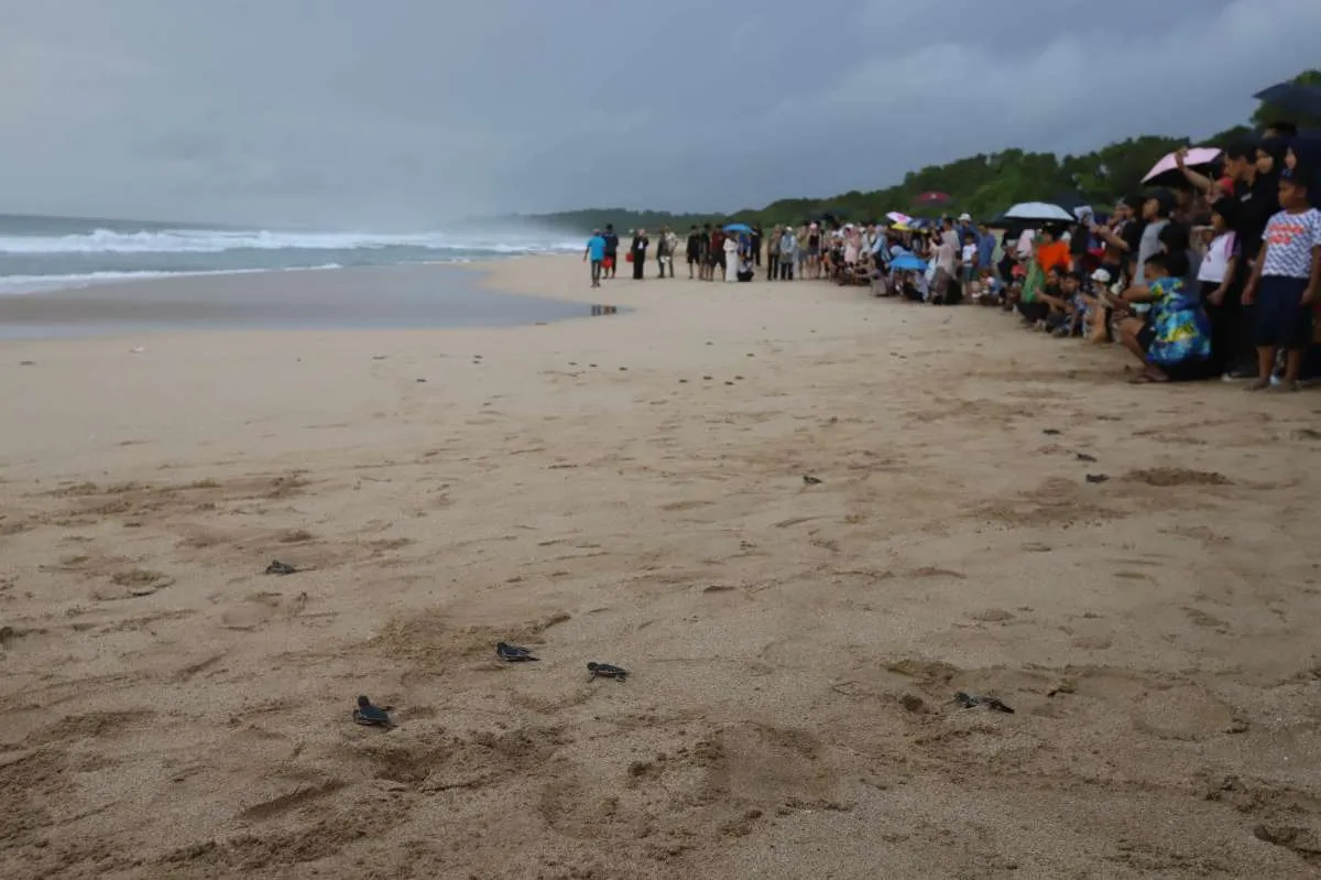 Apa Itu Rip Current? Ini Arti, Penyebab, hingga Cara Mengenali pada Bibir Pantai