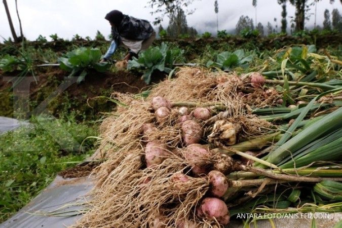 Kementan: Realisasi wajib tanam bawang putih tahun 2020 baru 2.077 hektare