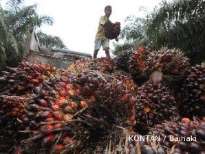 Harga CPO tumbang 2,1% dalam sepekan