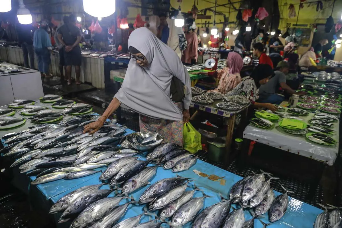 KKP Optimistis Ekspor Perikanan dapat Tumbuh 6,6% Jadi US$ 6,25 Miliar pada 2025