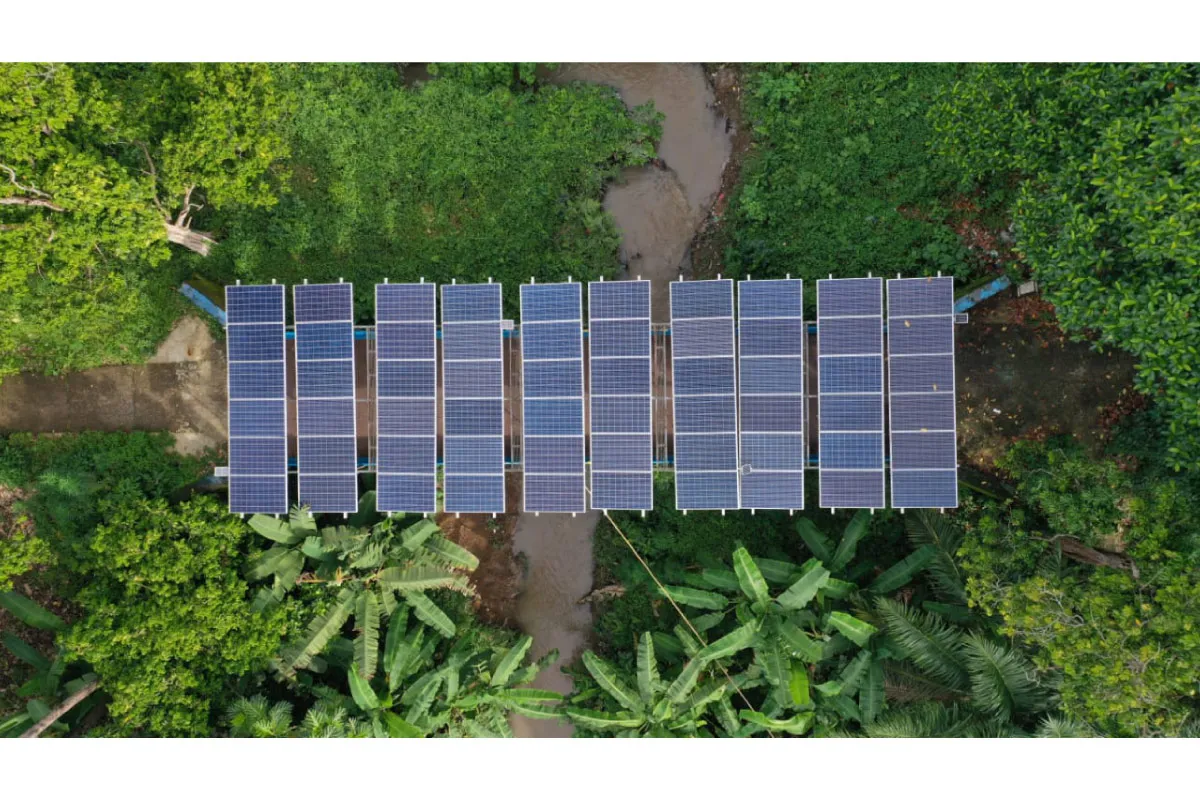 Berkat PLTS Irigasi PTBA, 525 Petani Tanjung Raja Panen 3 Kali Setahun