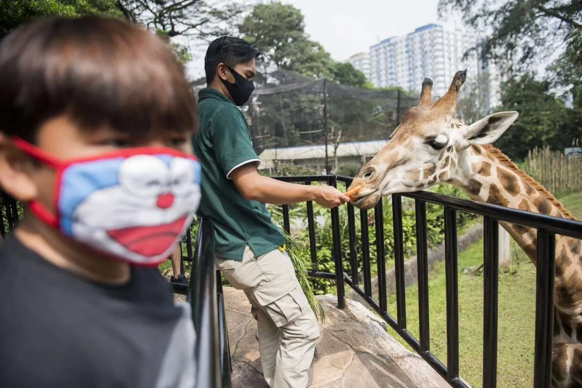 Bandung Zoological Garden sudah dibuka, ini dia harga tiket masuk 