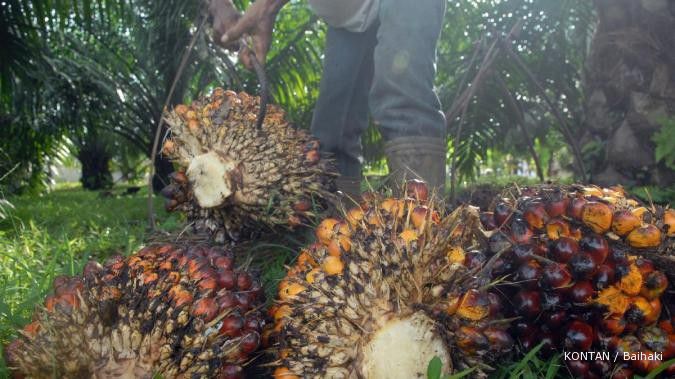 TBLA menjajal manisnya bisnis gula