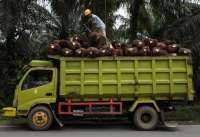 Harga CPO Tren Naik 2025, Cek Saham Sawit yang Prospek Investasinya Moncer