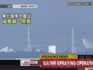 Susu dan bayam di sekitar PLTN Fukushima Daiichi tercemar radioaktif