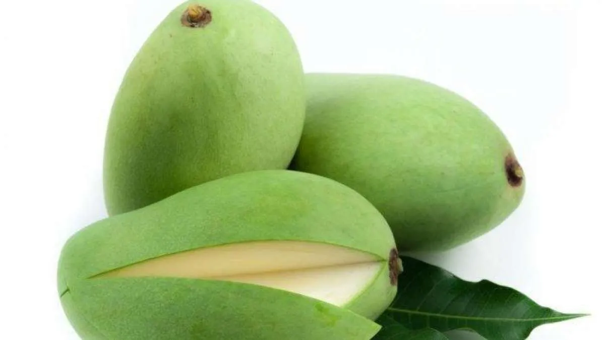 8 Manfaat Mangga Muda untuk Kesehatan yang Menakjubkan dan Kandungan Vitaminnya