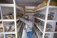 Utak Atik Beleid PPh Final 0,5% Bagi UMKM