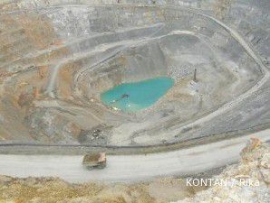 Mau beli saham Newmont, pemerintah daerah tak punya dana