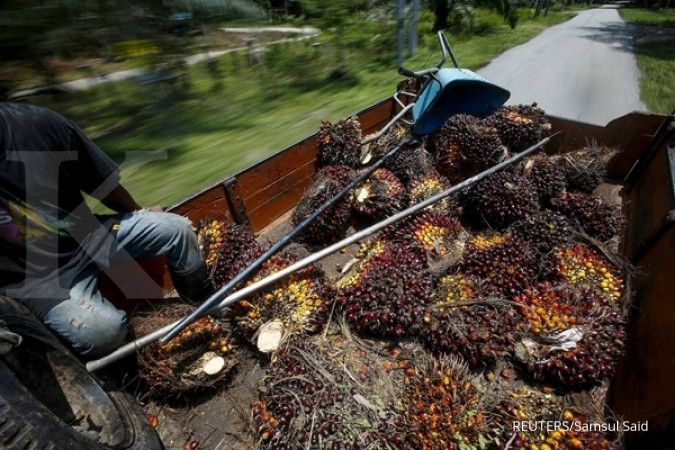 Indonesia jajaki ekspor cangkang sawit ke Jepang