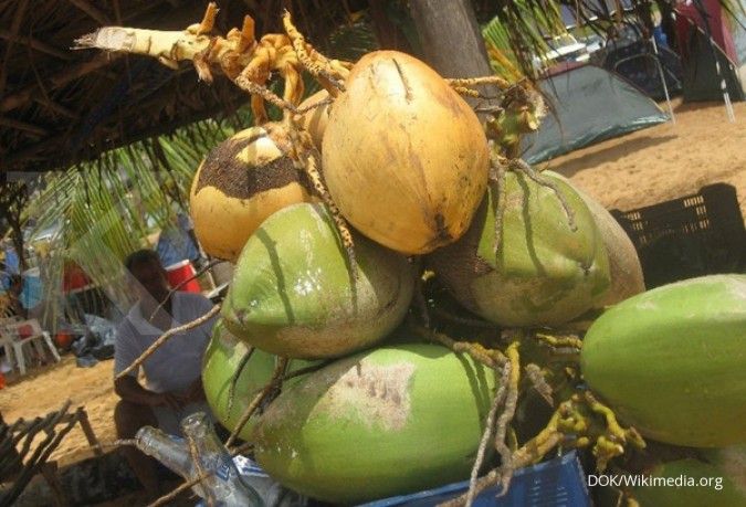 Kemdag belum bisa larang ekspor kelapa segar