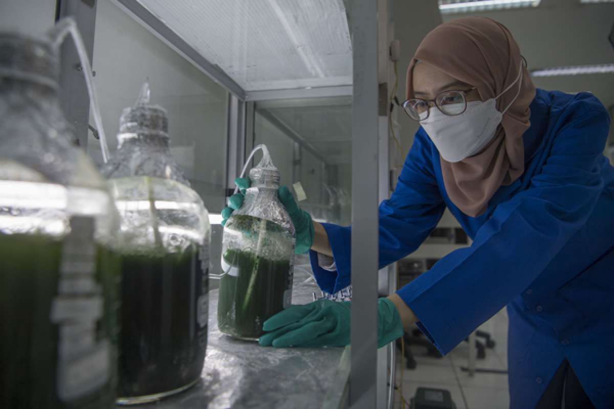 Peneliti Jadi Korban Peleburan Penelitian