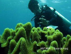 Fadel tawarkan pengelolaan konservasi laut pada swasta