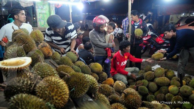 Aseibssindo sebar 10.000 bibit Durian unggul