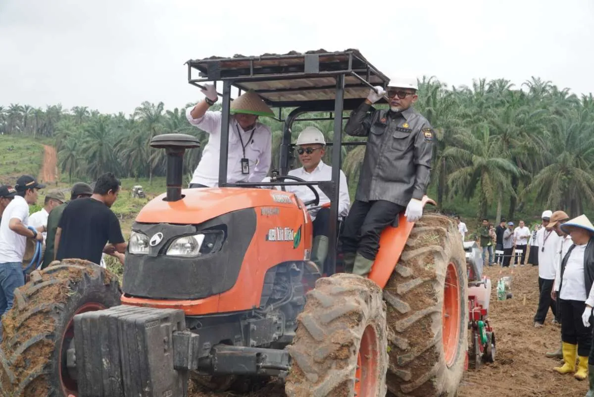 PTPN IV PalmCo Perluas Program Tanam Padi PTPN ke Provinsi Jambi 