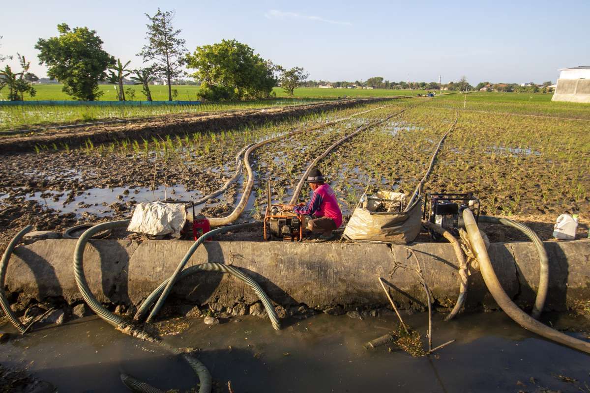 Opsi Modifikasi Cuaca untuk Mengantisipasi El Nino