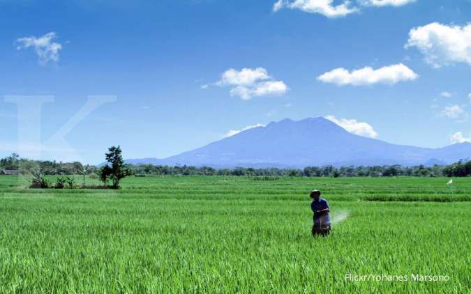 Metode Pemberian Pupuk yang Baik Pada Tanaman
