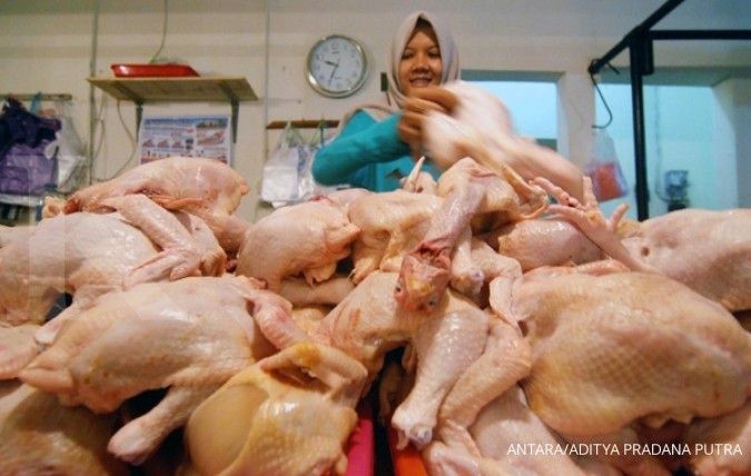 Giliran ayam kampung naik harga