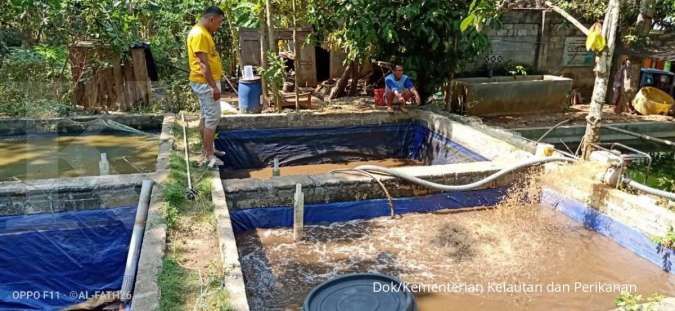 Permodalan KKP Sukseskan Budidaya Lele di Gunungkidul, Menteri Trenggono Ingin Perbanyak Kampung Budidaya