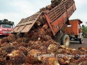 Krisis Yunani Belum Rontokkan Pasar CPO