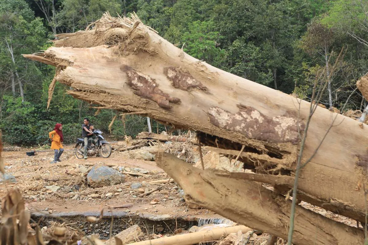 Sumatera Rentan Bencana Akibat Perubahan Iklim Hingga 2040