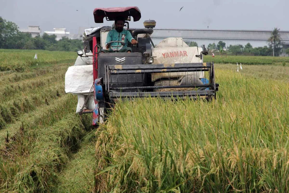 Cuaca Sumut Rabu, 4 Maret 2026: Cek Wilayah Berpotensi Hujan Ringan & Berawan