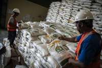 Pemerintah Kantongi Stok Beras 4,7 Juta Ton, Rekor Tertinggi Sepanjang Sejarah