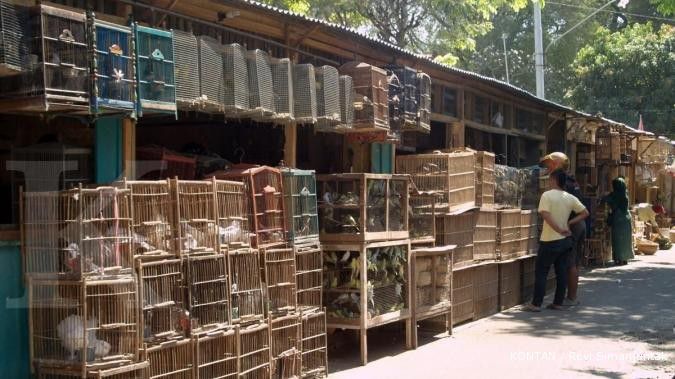 Pasar Depok: Hewan langka pun dijual (2)